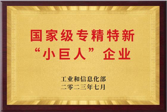 “小(xiao)巨人”企業